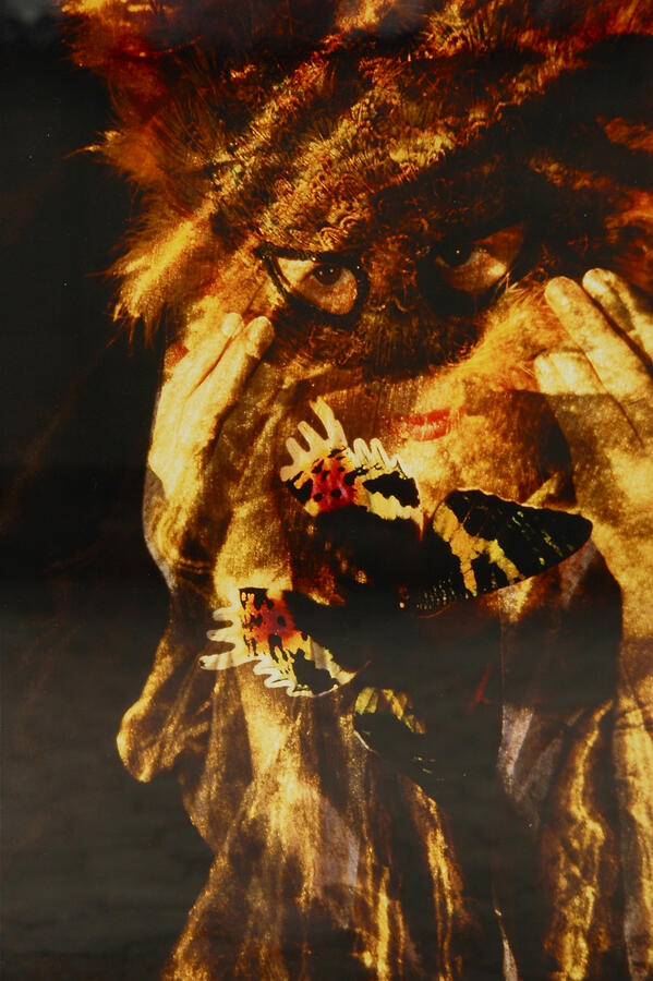 cache-cache cache-cache