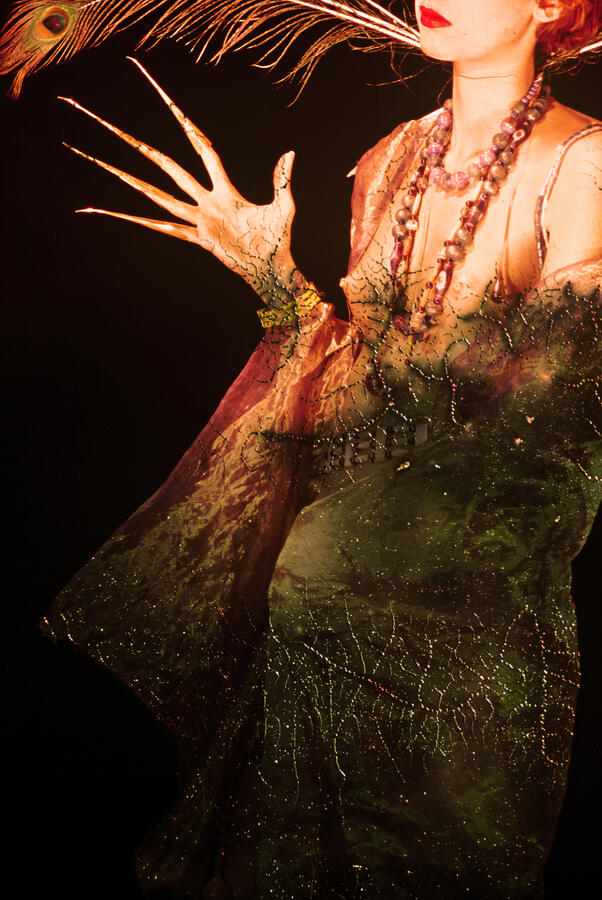 Plumage d'Amazone